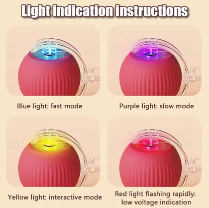 Interactive Ball Toy - Automatic Rolling
