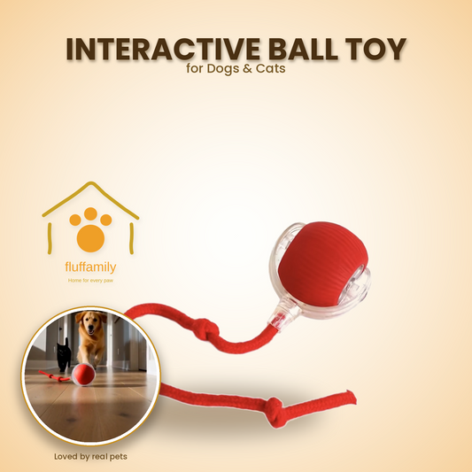 Interactive Ball Toy - Automatic Rolling