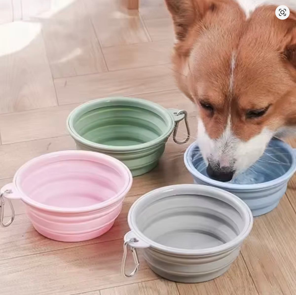 Collapsible Silicone Travel Bowl for Dogs & Cats