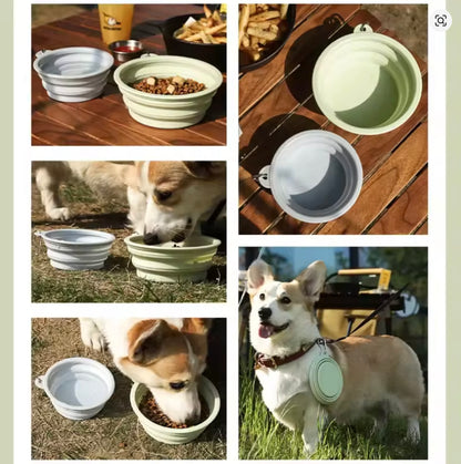 Collapsible Silicone Travel Bowl for Dogs & Cats