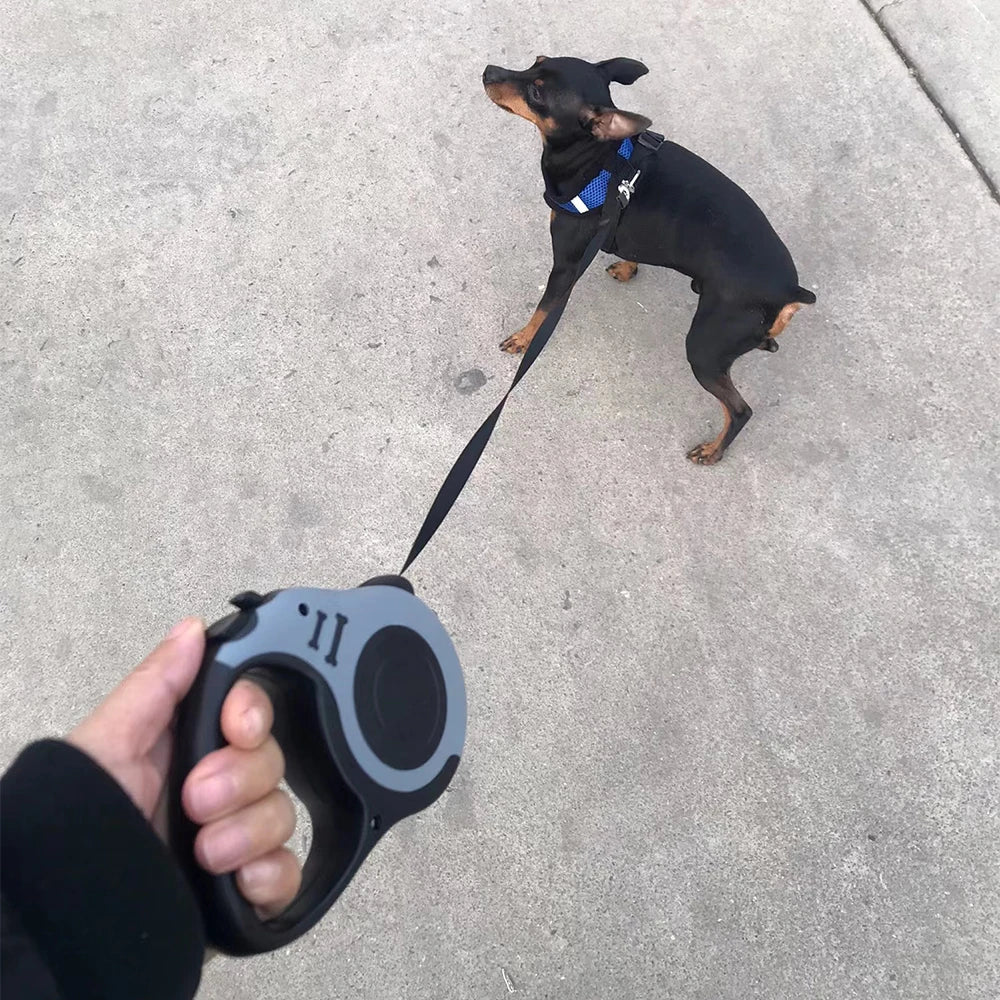 Automatic Retractable Dog Leash - 3M/5M