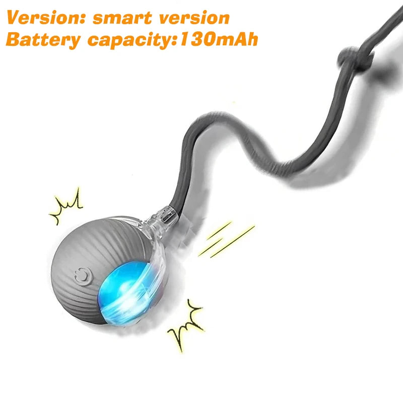 Interactive Ball Toy - Automatic Rolling
