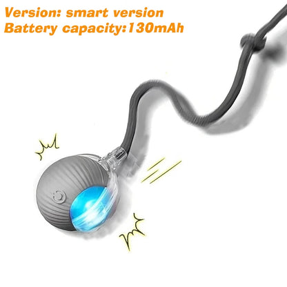 Interactive Ball Toy - Automatic Rolling
