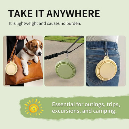 Collapsible Silicone Travel Bowl for Dogs & Cats