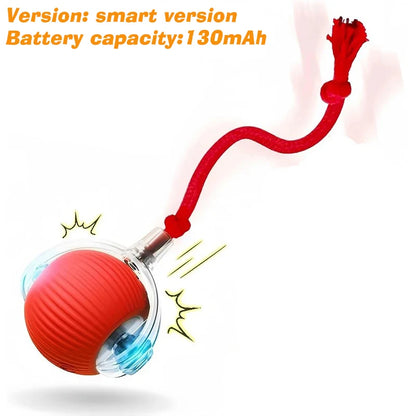 Interactive Ball Toy - Automatic Rolling