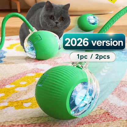 Interactive Ball Toy - Automatic Rolling