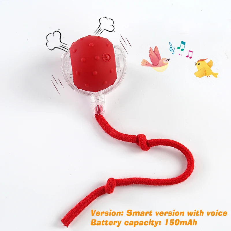 Interactive Ball Toy - Automatic Rolling