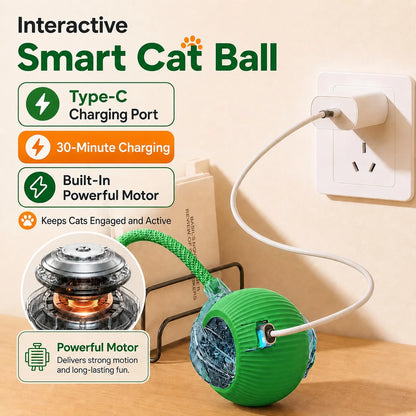 Interactive Ball Toy - Automatic Rolling