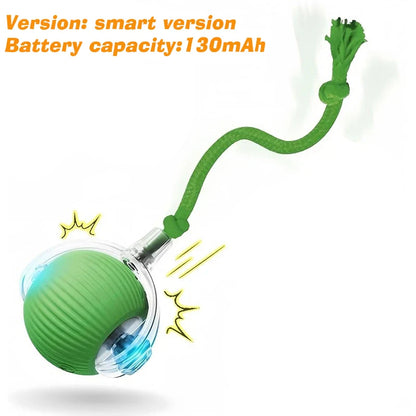 Interactive Ball Toy - Automatic Rolling