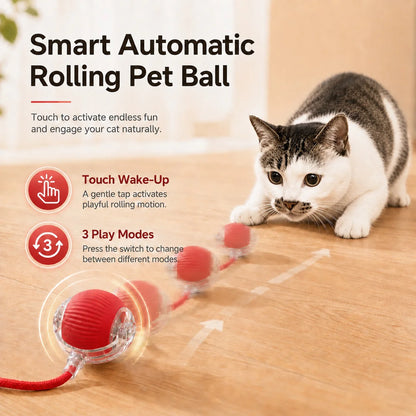 Interactive Ball Toy - Automatic Rolling