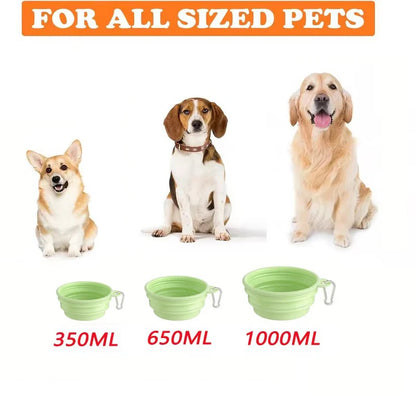 Collapsible Silicone Travel Bowl for Dogs & Cats
